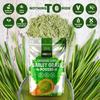 Organic Barley Grass Powder 500g - Certified Organic Grown in EU - 100% Raw Natural Gluten Free Superleaf Superfood Powder for Smoothies & Juices PROELITE view 4