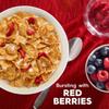 Kellogg's Special K Breakfast Cereals, Fiber Cereal, Family Breakfast, Red Berries, 11oz Box (1 Box) view 2
