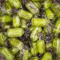Chocolate Limes in 1 x Reuseable Retro Victorian Style Jar 970ml Plastic (Chocolate Limes) by Prestige Discount Centre Ltd