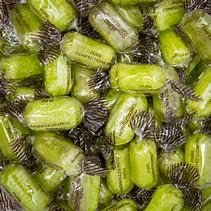 Chocolate Limes in 1 x Reuseable Retro Victorian Style Jar 970ml Plastic (Chocolate Limes) by Prestige Discount Centre Ltd