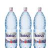 Borsec Natural Mineral Water 2L | Still Mountain Water Bottle | Romanian Apa Minerala Naturala Plata (3 Pack) view 1