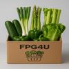 All Green Salad Box || 6 Lush Greenies || Gut Healyth || 24.99 view 1