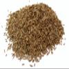 Caraway Seeds Whole Dried Grade *A* Premium Quality by Masala Cottage 25g-1900g (1900, Grams) view 2