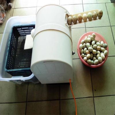 120W Egg Washing Machine Automatic Egg Cleaning Machine Commercial Chicken Duck Goose Egg Brushing Machine Egg Surface Cleaning Egg Washing Cleaning Machine Duck Egg Cleaning Machine