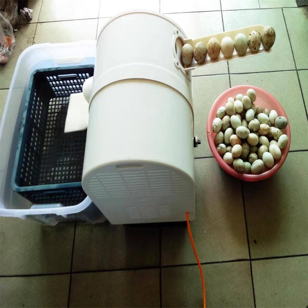 120W Egg Washing Machine Automatic Egg Cleaning Machine Commercial Chicken Duck Goose Egg Brushing Machine Egg Surface Cleaning Egg Washing Cleaning Machine Duck Egg Cleaning Machine