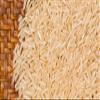 Maven Wholefoods Organic Jasmine Brown Rice 3kg | GMO Free | Raw | Vegan | High Fibre | Certified Organic | Source of Protein | 100% Pure and Natural | No Additives | No Preservatives (3kg) view 3