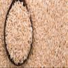 Maven Wholefoods Organic Long Grain Brown Rice 500g | GMO Free | Raw | Vegan | High Fibre | Certified Organic | Source of Protein | 100% Pure and Natural | No Additives | No Preservatives (500g) view 4