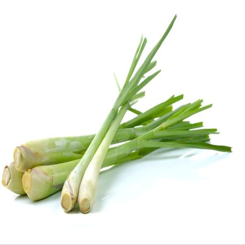 Fresh Lemongrass 5 Bunch Aromatic Thai Herb for Curries, Soups, Stir-Fries & Tea | Premium Fragrant Stalks for Cooking & Meal Prep