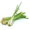 Fresh Lemongrass 5 Bunch Aromatic Thai Herb for Curries, Soups, Stir-Fries & Tea | Premium Fragrant Stalks for Cooking & Meal Prep view 1