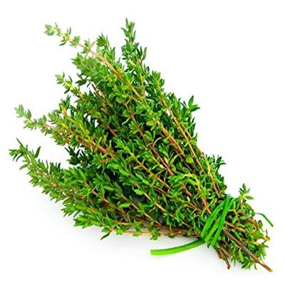 Thyme 10 bunch