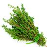 Thyme 10 bunch view 1