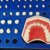 XXRLSUDJ Teeth Model, 151 Pcs Dental Anatomy Model, Full Mouth Disassembly Tooth Model, Soft Gums Learning Exercises Tooth Extraction for Operative Dentistry and Prosthodontics Teaching Demonstration. view 2