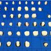 XXRLSUDJ Teeth Model, 151 Pcs Dental Anatomy Model, Full Mouth Disassembly Tooth Model, Soft Gums Learning Exercises Tooth Extraction for Operative Dentistry and Prosthodontics Teaching Demonstration. view 4