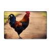 Flannel Carpet Chicken Rooster Picture 60 x 39 in Non-Slip, Durable Suitable for Living Room and Office Bedroom view 1