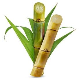 Fresh Sugarcane I 1KG