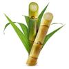 Fresh Sugarcane I 1KG view 1