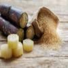 Fresh Sugarcane I 1KG view 3