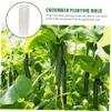 Happyyami 6pcs Cucumber Growing Molds Vegetable Fruit Garden Vegetable Shaping Molds Shaping for Garden view 4