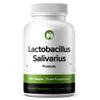 Lactobacillus Salivarius (4 Month Supply) Probiotic Supplement 240 Tablets 3 Billion CFU Probiotics for Men & Women Vegan Friendly Made in The UK (Lactobacillus Salivarius) view 1