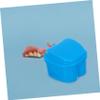 FOMIYES Hygienic Box False Storage Filter and Hinge Gang Dentures on Soft Mini Size Portable view 4