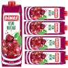 Dimes Sour Cherry Juice fruit juice 1000 Mililiter x 5 Pieces view 1