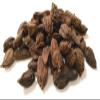 Black | Brown Cardamon | Cardamom Pods | Badi Elaichi Whole Dried Premium Quality by Masala Cottage 25g-1.9kg (25, Grams) view 3
