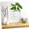 POPETPOP Iron Plant Stand Flowerpot Stand for Succulent Garden Plant Supports Indoor Iron Holder Indoor view 2