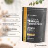 Tribulus Terrestris Extract 7500mg | 120 Vegan Tablets for Men and Women | High Strength 95% Saponins | with Vitamin D3 | by Horbaach view 2