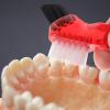 Ipetboom 16pcs Double-Head Denture Brush Mini Portable Multi Functional Toothbrush for Home Oral Care Creative Personal Cleaning Tool view 3