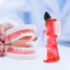 Ipetboom 12pcs Denture Brush Toothbrush Multi Functional Creative Small Household Mini Practical Cleaning for Oral Care Denture Cleaner view 3