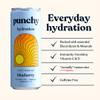 Punchy Drinks - Blueberry - Everyday Hydration, Essential Electrolytes, Minerals, Vitamins, Real Fruit, Supports Immunity, Caffeine Free, Aids Muscle Function, Low Calorie - 12 x 330ml view 2