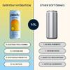 Punchy Drinks - Blueberry - Everyday Hydration, Essential Electrolytes, Minerals, Vitamins, Real Fruit, Supports Immunity, Caffeine Free, Aids Muscle Function, Low Calorie - 12 x 330ml view 4