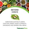 NaturesPlus Beyond CoQ10 50 mg Ubiquinol - Active, Naturally Fermented Coenzyme Q10 Supplement with UbiquiMax for Enhanced Absorption & Prolonged Action - Gluten Free, 60 Softgels view 4