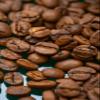 Buzzbox Coffee Beans, 250g  Rocket Fuel Blend of Dark Roast speciality whole Coffee Beans from South America. 100% Arabica Coffee Beans view 4