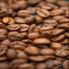 Buzzbox Coffee Beans, 250g - "Mountain Dew" - El Salvador Single Origin, Medium Roast Speciality whole Coffee Beans view 3