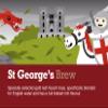 PYRAMID TEA BAGS | INDIVIDUAL MESH BAGS | 100 x biodegradable bags | ST GEORGE'S BREW view 4