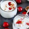 Freshly Fermented - Organic Certified Freeze Dried Yoghurt Starter Culture, Caspian view 2