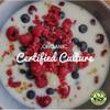 Freshly Fermented - Organic Certified Freeze Dried Yoghurt Starter Culture, Filmjolk view 2