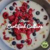 Freshly Fermented - Organic Certified Freeze Dried Yoghurt Starter Culture, Amasi view 2