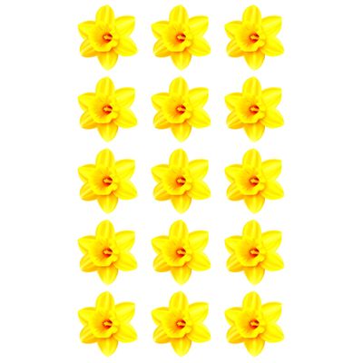 15 x Daffodil Flower Edible Wafer or Icing Cupcake Toppers Fun Spring Party Cake Decorations Perfect For Brownies Cookies Muffins & More! (Edible Wafer Card)