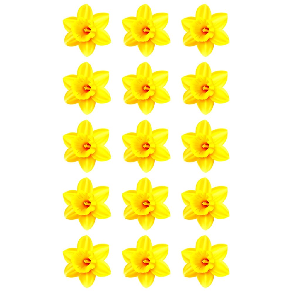 15 x Daffodil Flower Edible Wafer or Icing Cupcake Toppers Fun Spring Party Cake Decorations Perfect For Brownies Cookies Muffins & More! (Edible Wafer Card)