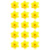 15 x Daffodil Flower Edible Wafer or Icing Cupcake Toppers Fun Spring Party Cake Decorations Perfect For Brownies Cookies Muffins & More! (Edible Wafer Card) view 1