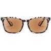 ABETOS Reading Sunglasses Tinted Sun Readers Classic Retro Eyeglasses for Women Men UV400 Protection Outdoor Reading in the Sun 1.0 1.5 2.0 2.5 3.0, Leopard+1.0 view 1