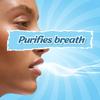 Mountain Breeze Oral Hygiene Mouth Freshener Sugar Free Cool Mint Breath Strips (24 Strips Each Cassatte), Pack of 1 (3 Cassette) view 3