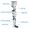 Thigh Leg Compression Support, Ankle and Foot Orthosis Can Be Adjusted To The Thigh, Used for Hip Fracture, Thigh Fracture, Femoral Fracture view 2