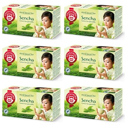Tea Pot Sencha Green Tea with Exotic Fruit Flavour 6 x 20 cm (DEKOND Gift)