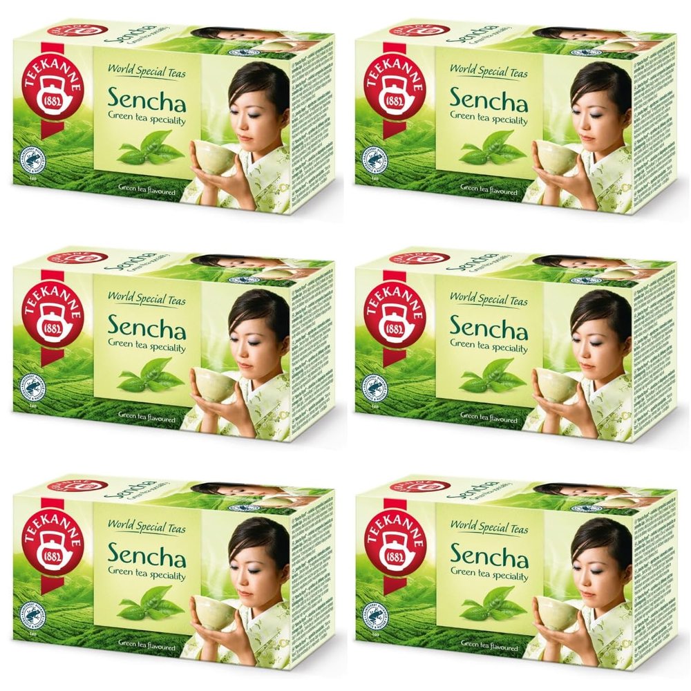 Tea Pot Sencha Green Tea with Exotic Fruit Flavour 6 x 20 cm (DEKOND Gift)