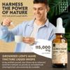 Lions Mane Supplement - High Strength 115,000mg Lions Mane Extract (30 Servings) Premium Herbal Mushroom Supplement for Men & Women. by Grounded Body Scrub view 4
