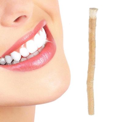 Natural Toothbrushes Teeth Sticks for Tooth Cleaning, Stick,Traditional Natural Toothbrush,Traditional Natural Teeth Sticks,Effective Stick Breath Freshener