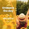 NEUBRIA Shine Mood Complex  Multivitamin for Adults with Ashwagandha, Rhodiola, Turmeric, Saffron, B Complex, Magnesium & Zinc - Potent Supplement for Daily Wellness  30 Capsules view 3